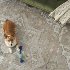 Nourison Astra Machine Washable Vintage Medallion Indoor Rug -Decor Vista GUEST 000743b1 2598 4925 aa8c 706cee1ed8f9