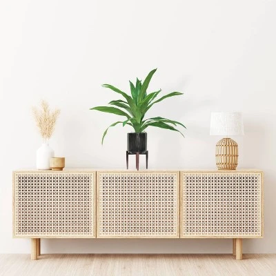 40" Artificial Ceramic Stand Dracaena In Black - LCG Florals 4 40" Artificial Ceramic Stand Dracaena In Black - LCG Florals - Image 2