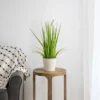 Northlight 24" Artificial Green Onion Grass Plant In Tin Pot -Decor Vista GUEST 013e9dc2 7d50 4b67 b7bc c0eb9c8b6d14