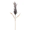 Vickerman Artificial 36" Cluster Reed Spray -Decor Vista GUEST 041f59ed 8d27 4f5d 8aad 3ae005dd3a99