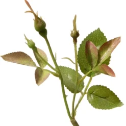 16.5" Pink Rose Flower - National Tree Company -Decor Vista GUEST 07272f3b 12e4 4f35 bd45 43dcbdfccb55