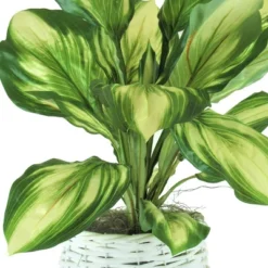 28" X 14" Artificial Hosta Plant In Basket Stand White - LCG Florals