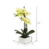 Artificial Potted Orchid (15.5") - Vickerman -Decor Vista GUEST 0ede6611 ea81 4366 a6df 48556f8462bc