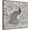22" X 22" Peacock Garden III BW By Miranda Thomas Framed Canvas Wall Art Gray Wash - Amanti Art -Decor Vista GUEST 11a8e335 21e7 49ec 8070 4bf3a38e65f7