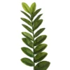 52" Artificial Zamifolia Bush With Pot - Vickerman -Decor Vista GUEST 1649a6f4 377c 4c9d bbfd 6986c26cffcd