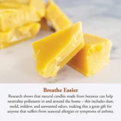 Candle By The Hour 80-Hour Candle Refill, Eco-friendly Natural Beeswax With Cotton Wick -Decor Vista GUEST 1be736d2 98df 44a4 a9c7 7790105f7a35 2