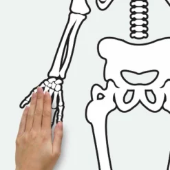 Skeleton Glow In The Dark Peel And Stick Giant Wall Decal White/Black - RoomMates -Decor Vista GUEST 24866b24 0d0d 42cf 8ddc ebacee053eb2