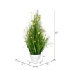 Vickerman Artificial Yellow Potted Artificial Cosmos And Grass -Decor Vista GUEST 248778bc 11b8 434b 804f 933f334d7206