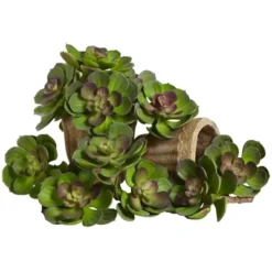 Nearly Natural 6-in Artificial Echeveria Succulent (Set Of 12) -Decor Vista GUEST 25419caf 921e 4ad9 aa8b bbbf693dc0be