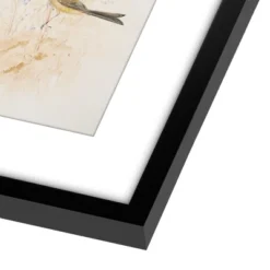 Americanflat 6 Piece Vintage Gallery Wall Art Set - Fall Study, Autumn In The Hills, Mushrooms, Light Bird, Fern Frond By Maple + Oak -Decor Vista GUEST 283cd475 82b5 450f a043 491c59829215