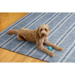 5'x7' Washable Wallen Rug Ivory/Blue: Rubber Backed, Stain-Resistant, Low Pile, Contemporary Stripe - Linon -Decor Vista GUEST 28c24e4a 7543 49ac 9dfc bc7da8a52505