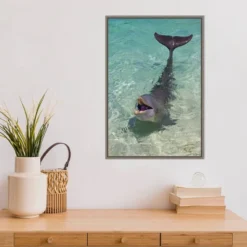 16" X 23" Dolphin In The Ocean By Keren Su Danita Delimont Framed Canvas Wall Art - Amanti Art 13 16" X 23" Dolphin In The Ocean By Keren Su Danita Delimont Framed Canvas Wall Art - Amanti Art -Decor Vista GUEST 295e2b41 30ab 413a 82e1 28110815e0ab