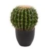 Nearly Natural 14-in Cactus Artificial Plant -Decor Vista GUEST 2d08d3bd 9ec3 43f9 be5c 7cb4391c1684