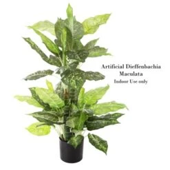 Artificial Dieffenbachia Floor Plant - 40-Inch Potted Faux Greenery For Home Or Office Decoration Natural Looking Polyester Leaves By Pure Garden 9 Artificial Dieffenbachia Floor Plant - 40-Inch Potted Faux Greenery For Home Or Office Decoration Natural Looking Polyester Leaves By Pure Garden -Decor Vista GUEST 310b8ed8 661f 46f4 b8f2 d99c06c388cc