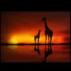 Northlight Safari Sunset LED Back Lit Giraffe And Baby Canvas Wall Art 11.75" X 15.75" -Decor Vista GUEST 32b94150 3b5a 497b bda8 77f6f0410d6a