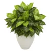 Nearly Natural 28-in Dieffenbachia Artificial Plant In White Planter -Decor Vista GUEST 39013000 f999 473e b7b8 56ee54fba254