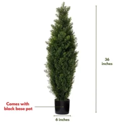Forever Leaf 36" Cedar Boxwood In Black Pot (2 Pack), Indoor Artificial Plant For Home Decor 11 Forever Leaf 36" Cedar Boxwood In Black Pot (2 Pack), Indoor Artificial Plant For Home Decor -Decor Vista GUEST 3949c41c 37e3 4f38 b6e3 762b67ef0592
