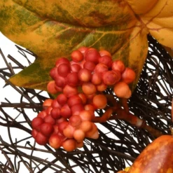 National Tree Company Artificial Autumn Wreath, Decorated With Pumpkins, Gourds, Berry Clusters, Maple Leaves, Autumn Collection, 22 In -Decor Vista GUEST 3c9367ac d6ed 44eb 959d 0d8de15864ed