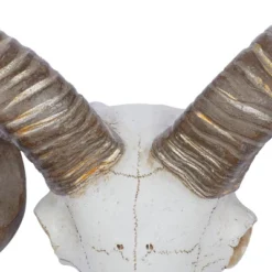 Polystone Sheep Skull Wall Decor White - Olivia & May -Decor Vista GUEST 3cd40bb9 77d7 41a4 8db3 c098b811a8d9