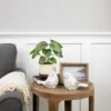 Northlight 10.25" Artificial Peperomia Plant In Two-Tone Ceramic Pot -Decor Vista GUEST 3eb6707c 98c1 4279 9024 d037e3a521c9