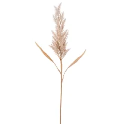 Vickerman Artificial 36" Cluster Reed Spray -Decor Vista GUEST 3f3e33ac a93e 47a6 8a65 5985d22a230c