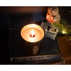 Ukonic Harry Potter Dark Arts Premium Scented Soy Wax Candle -Decor Vista GUEST 411ab146 4983 4d63 abbb 98ce34b06345