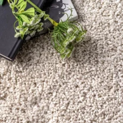 NuLOOM Clare Solid Shag Area Rug -Decor Vista GUEST 4347042d 173d 408b b5a9 ff1f4516b425