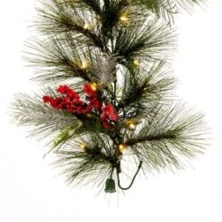 Vickerman Frosted Red Garlands -Decor Vista GUEST 4a387a7c 466a 4779 9f1c dde208d288a8