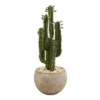 Nearly Natural 2.5-ft Cactus Artificial Plant In Bowl Planter -Decor Vista GUEST 4b1bc800 0bfb 48bd 8334 2b852bab0333