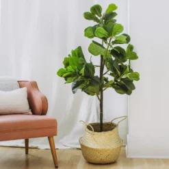 Forever Leaf 60" Artificial Fiddle Leaf Fig Tree With Black Pot, Indoor Artificial Plant For Home Decor 9 Forever Leaf 60" Artificial Fiddle Leaf Fig Tree With Black Pot, Indoor Artificial Plant For Home Decor -Decor Vista GUEST 4c41f880 c771 4593 9be8 f3da88632c0d