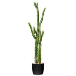 Vickerman Artificial Toothpick Cactus -Decor Vista GUEST 4e37a96a b931 4c49 a8b1 52a883f97ea2