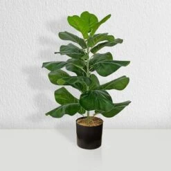 Forever Leaf 28" Artificial Fiddle Fig Leaf Plant In Black Pot, Indoor Artificial Plant For Home Decor -Decor Vista GUEST 4e70d887 f86d 4d32 ab5e 74d2bc6a11e1