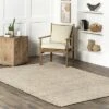 NuLOOM Handwoven Solid Elfriede Area Rug -Decor Vista GUEST 4e79f856 c7fe 4081 ba8c a738abb9b769