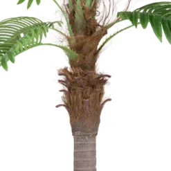 Northlight 8' Unlit Artificial Potted Phoenix Palm Tree -Decor Vista GUEST 5318f86b 1249 4073 be53 e3c279e7b7cd