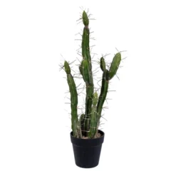 Vickerman Artificial Toothpick Cactus -Decor Vista GUEST 54028474 7761 4171 9d8f 3d6fbd9ca413