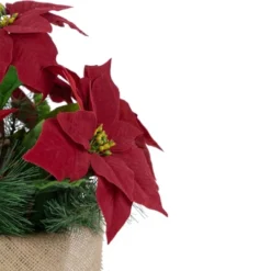 Northlight 13.5" Red Poinsettia With Pine Cones Artificial Christmas Floral Arrangement 7 Northlight 13.5" Red Poinsettia With Pine Cones Artificial Christmas Floral Arrangement -Decor Vista GUEST 5716a916 2c08 4e22 a538 8efe4f3f194c