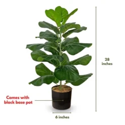 Forever Leaf 28" Artificial Fiddle Fig Leaf Plant In Black Pot, Indoor Artificial Plant For Home Decor -Decor Vista GUEST 5e155c32 1870 4736 b372 a16b2ac95527