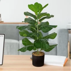 Forever Leaf 28" Artificial Fiddle Fig Leaf Plant In Black Pot, Indoor Artificial Plant For Home Decor -Decor Vista GUEST 61c160d2 1e52 4501 982d 95b9252176ba