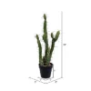 Vickerman Artificial Toothpick Cactus -Decor Vista GUEST 634df1ea 19ab 426c 8938 dee493d1b31d