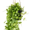 Vickerman 29" Artificial Green Mini Leaf Ivy In Hanging Pot. -Decor Vista GUEST 67ff0167 64c2 4e01 8eb3 3ab001abfd6f