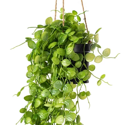 Vickerman 29" Artificial Green Mini Leaf Ivy In Hanging Pot. 3 Vickerman 29" Artificial Green Mini Leaf Ivy In Hanging Pot.