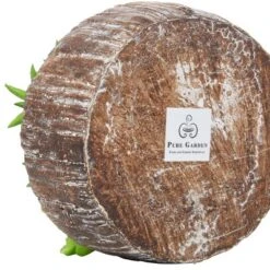 Faux Succulents  Assorted 8" Tall - Greenery Arrangements In Decorative Concrete Planters For Indoor Home Or Office By Pure Garden (Set Of 2) -Decor Vista GUEST 6865d204 eda3 4adb 9a4f da61621f5716