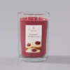 19oz Jar Candle Raspberry Butter Cookie Home Scents - Chesapeake Bay Candle