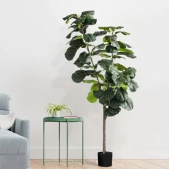 Forever Leaf 72" Artificial Fiddle Tree In Black Pot 2 Stem, Indoor Artificial Plant For Home Decor -Decor Vista GUEST 6c321395 90d7 4877 885d 510106b55d10