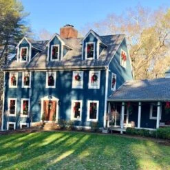 Northlight 24" Unlit Canadian Pine Artificial Christmas Wreath -Decor Vista GUEST 6cca1dfc a278 43b6 ab26 36d525bf9ff4