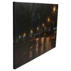 Northlight LED Lighted Nighttime City Park Scene Canvas Wall Art 23.75" -Decor Vista GUEST 6cf1b765 1f6a 4971 b7e3 0dace5ec683e