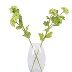 Vickerman 30" Artificial Green Magnolia Leaf Wreath. -Decor Vista GUEST 76ec5d2c 11b0 406f 9bec f58485183a20