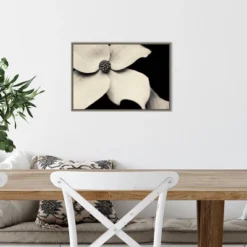 23" X 16" Dogwood Flower By Gary Horsfall Framed Canvas Wall Art - Amanti Art -Decor Vista GUEST 77a6c668 90f6 403b a6c5 d28283cf71bf