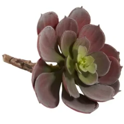 Nearly Natural 6-in Artificial Echeveria Succulent (Set Of 12) -Decor Vista GUEST 77e6f737 5cfa 437a ab7e 7f98614f1f71