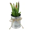 Northlight 7" Ombre Cactus Artificial Potted Plant - Green/Silver -Decor Vista GUEST 787799fe 3677 4786 bbde 4ea548308143
